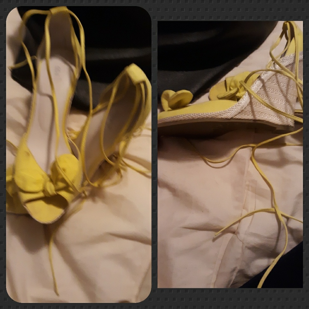 'Bakers' Yellow wedge